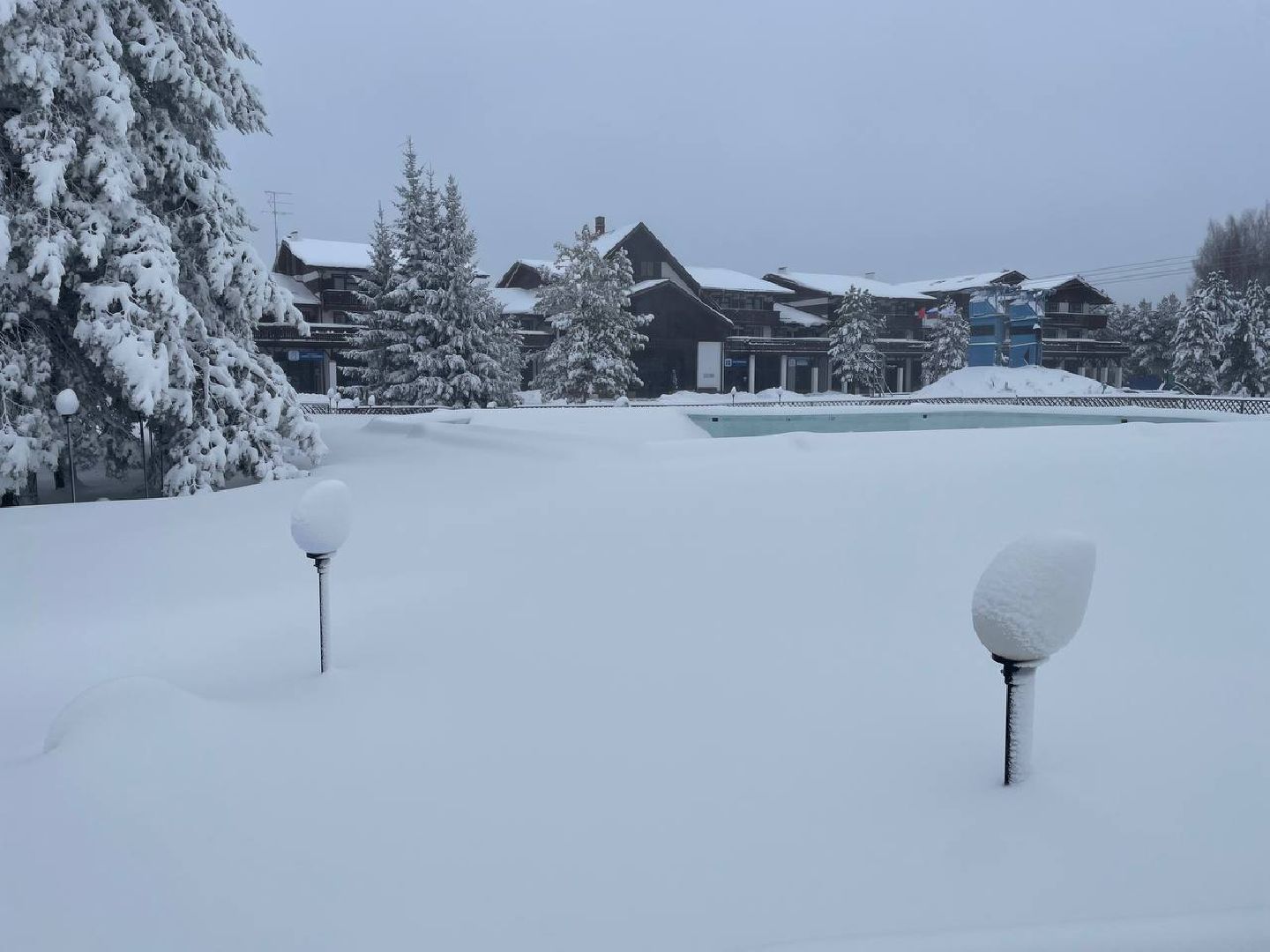 дмитров, туризм, минспорта,