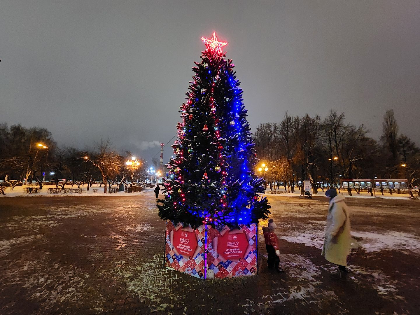 Чехов, новогодние елки, украшение города к новому году, проект губернатора московской области, зима в подмосковье, дворец культуры Дружба, вертикалки,