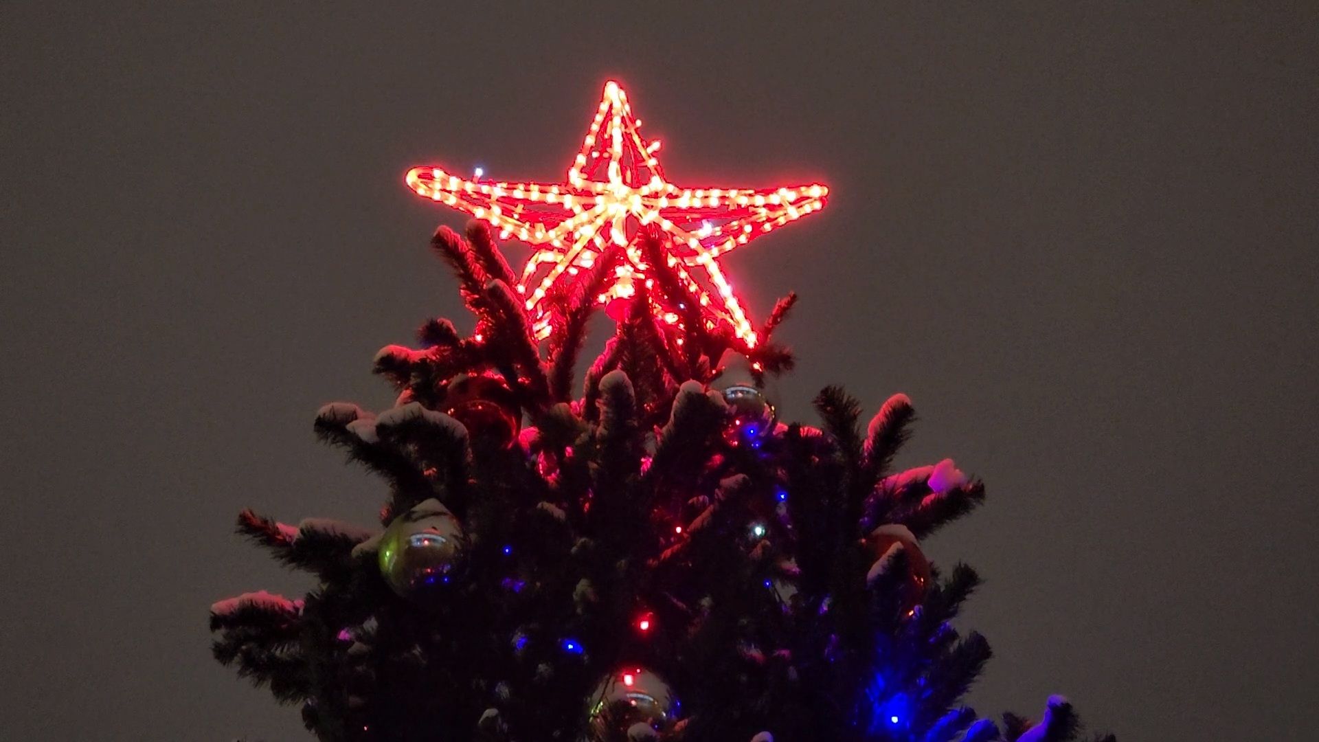 Чехов, новогодние елки, украшение города к новому году, проект губернатора московской области, зима в подмосковье, дворец культуры Дружба, вертикалки,