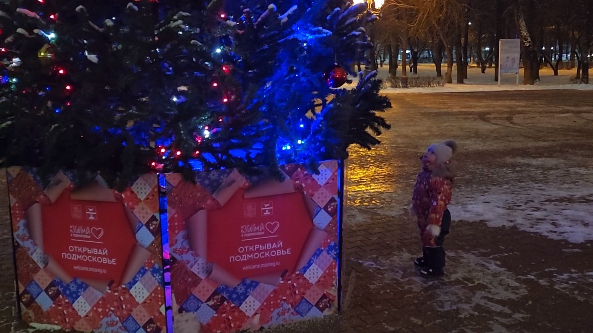 Чехов, новогодние елки, украшение города к новому году, проект губернатора московской области, зима в подмосковье, дворец культуры Дружба, вертикалки,