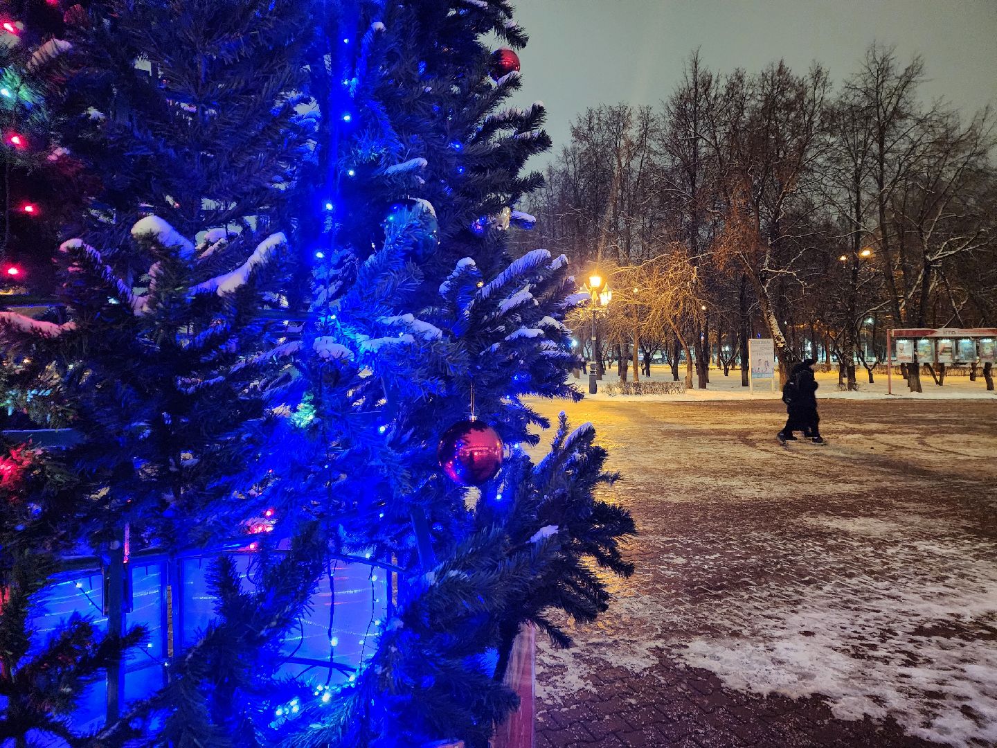 Чехов, новогодние елки, украшение города к новому году, проект губернатора московской области, зима в подмосковье, дворец культуры Дружба, вертикалки,