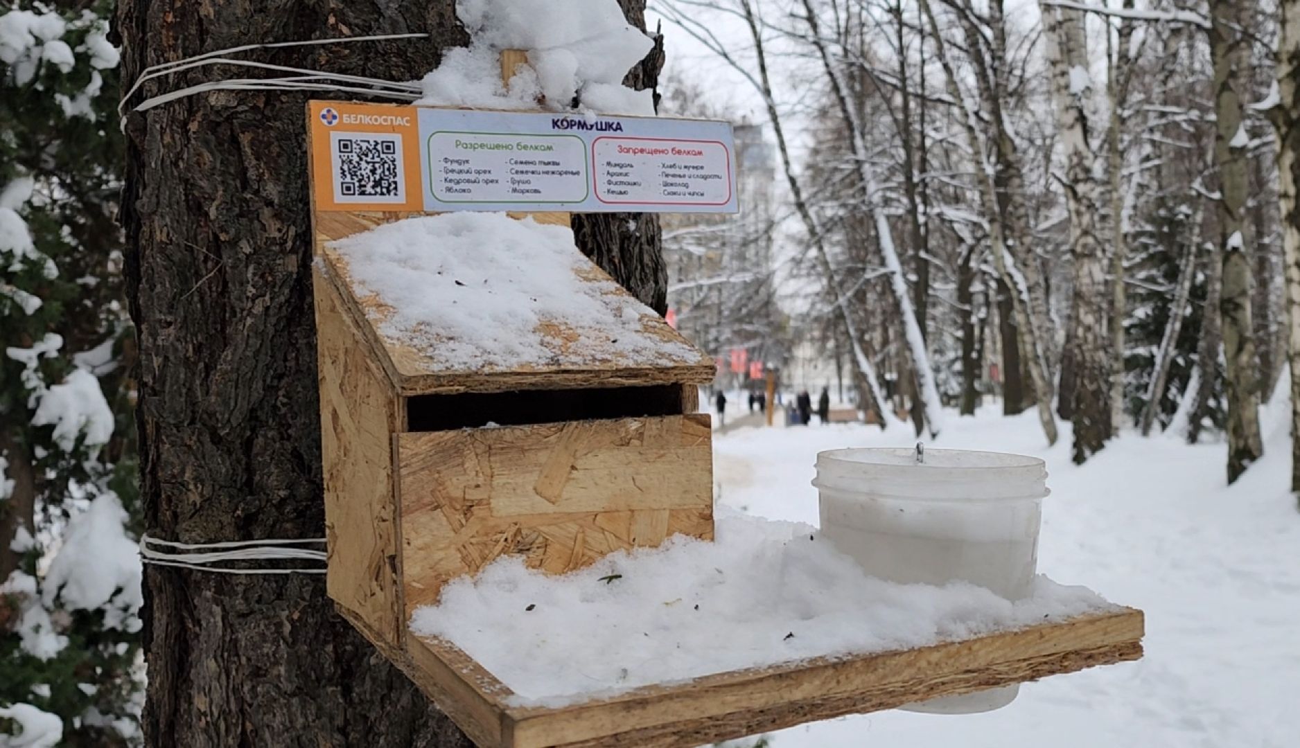 парки, ель, гирлянда, новый год, вертикалки,