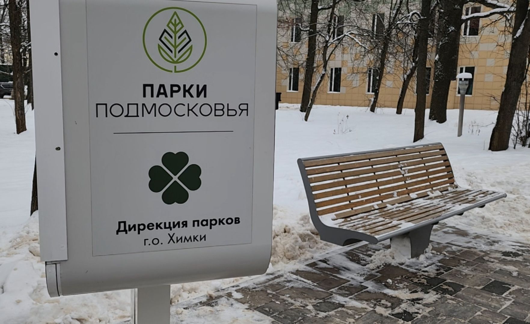 парки, ель, гирлянда, новый год, вертикалки,