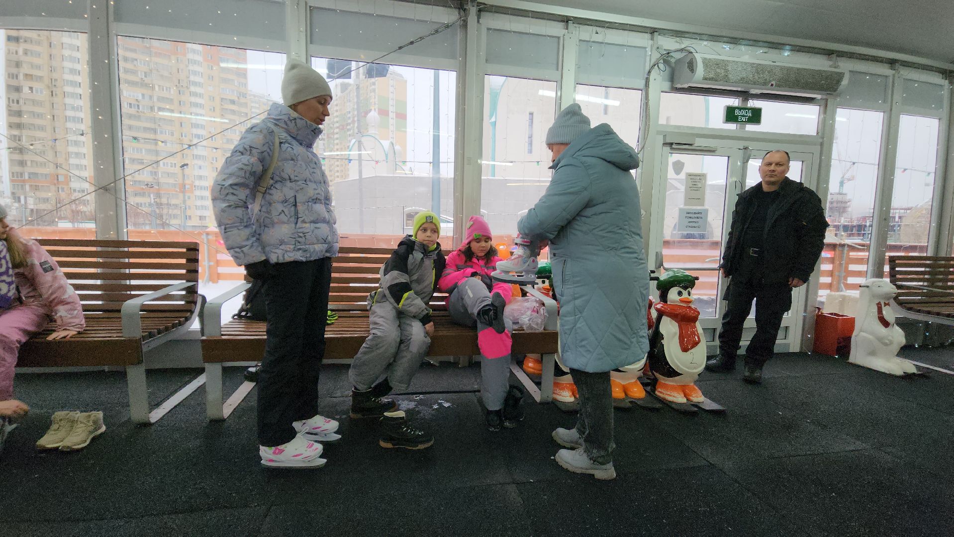 красногорск, павшинская пойма, зима в подмосковье, каток, индия,