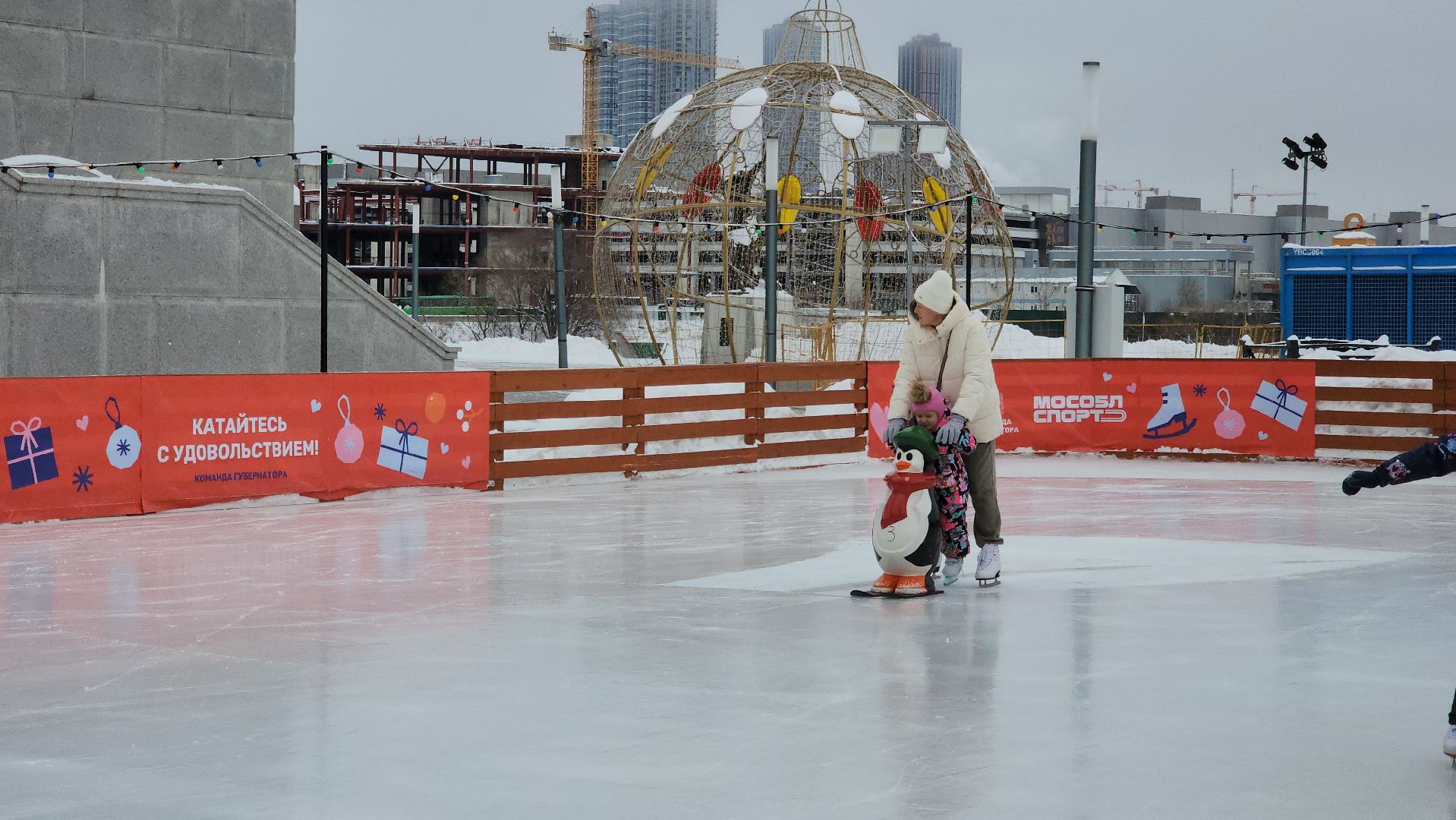 красногорск, павшинская пойма, зима в подмосковье, каток, индия,
