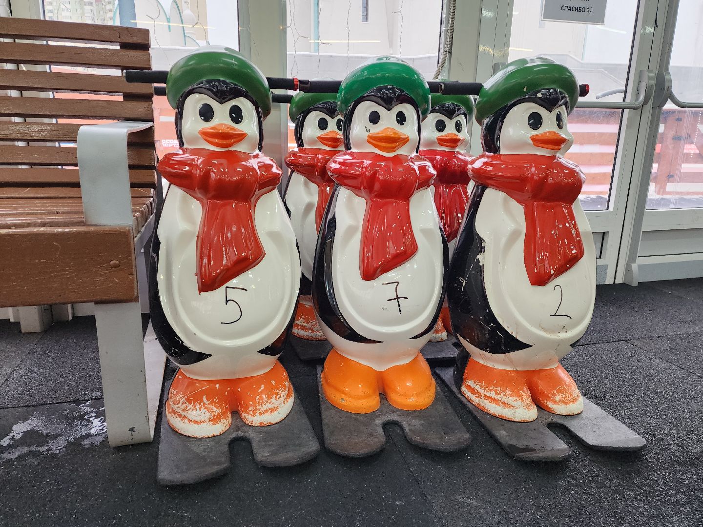 красногорск, павшинская пойма, зима в подмосковье, каток, индия,