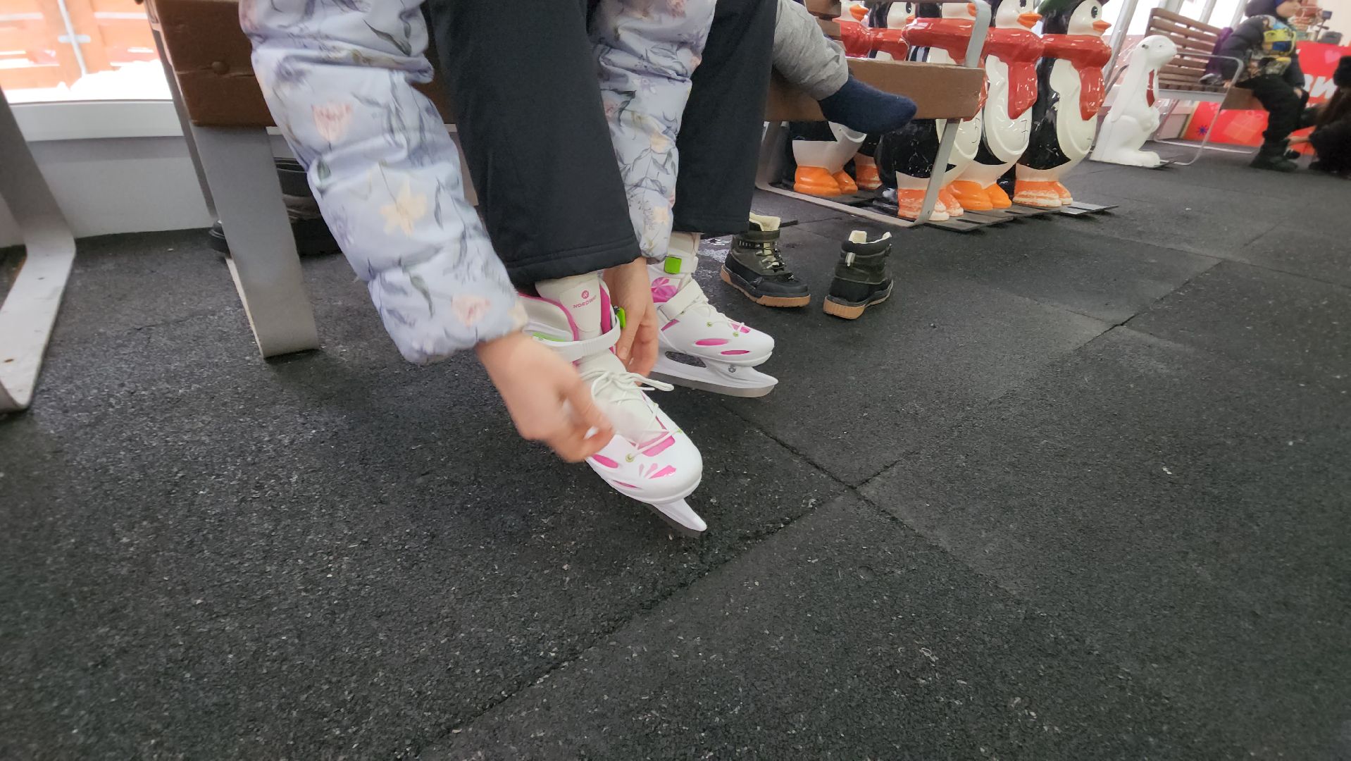 красногорск, павшинская пойма, зима в подмосковье, каток, индия,