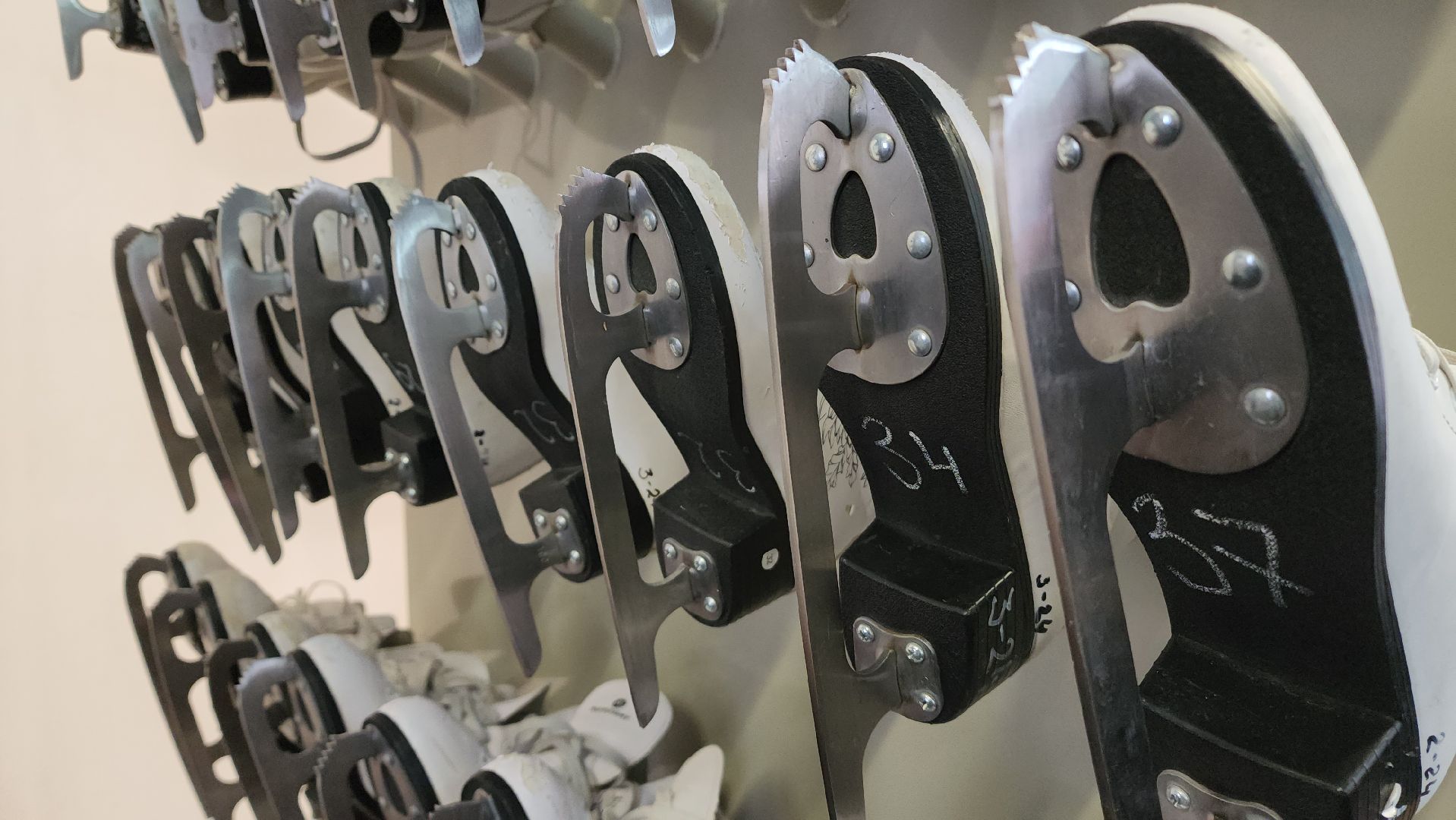 красногорск, павшинская пойма, зима в подмосковье, каток, индия,