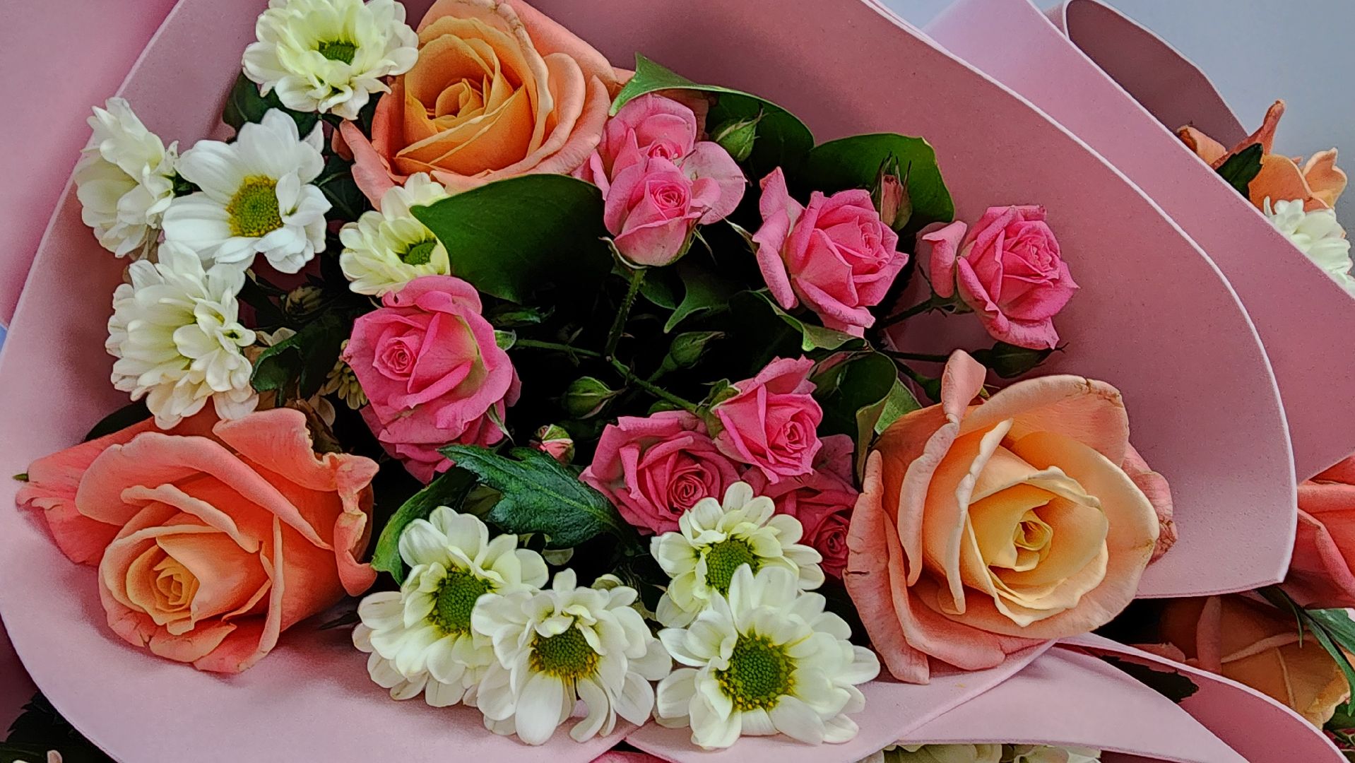 Солнечногорск, вертикалки, активное долголетие, фоновая ходьба, человек идущий,