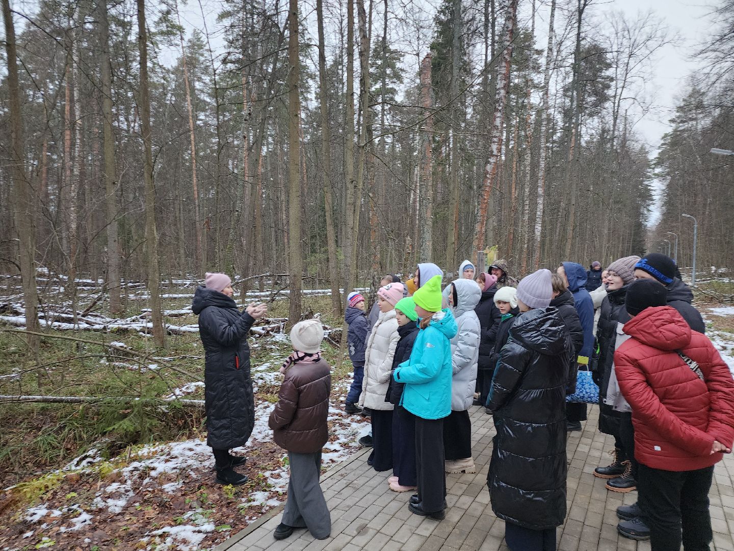 серпухов, подмосковье, приокско-террасный заповедник, зубры, туризм в подмосковье,