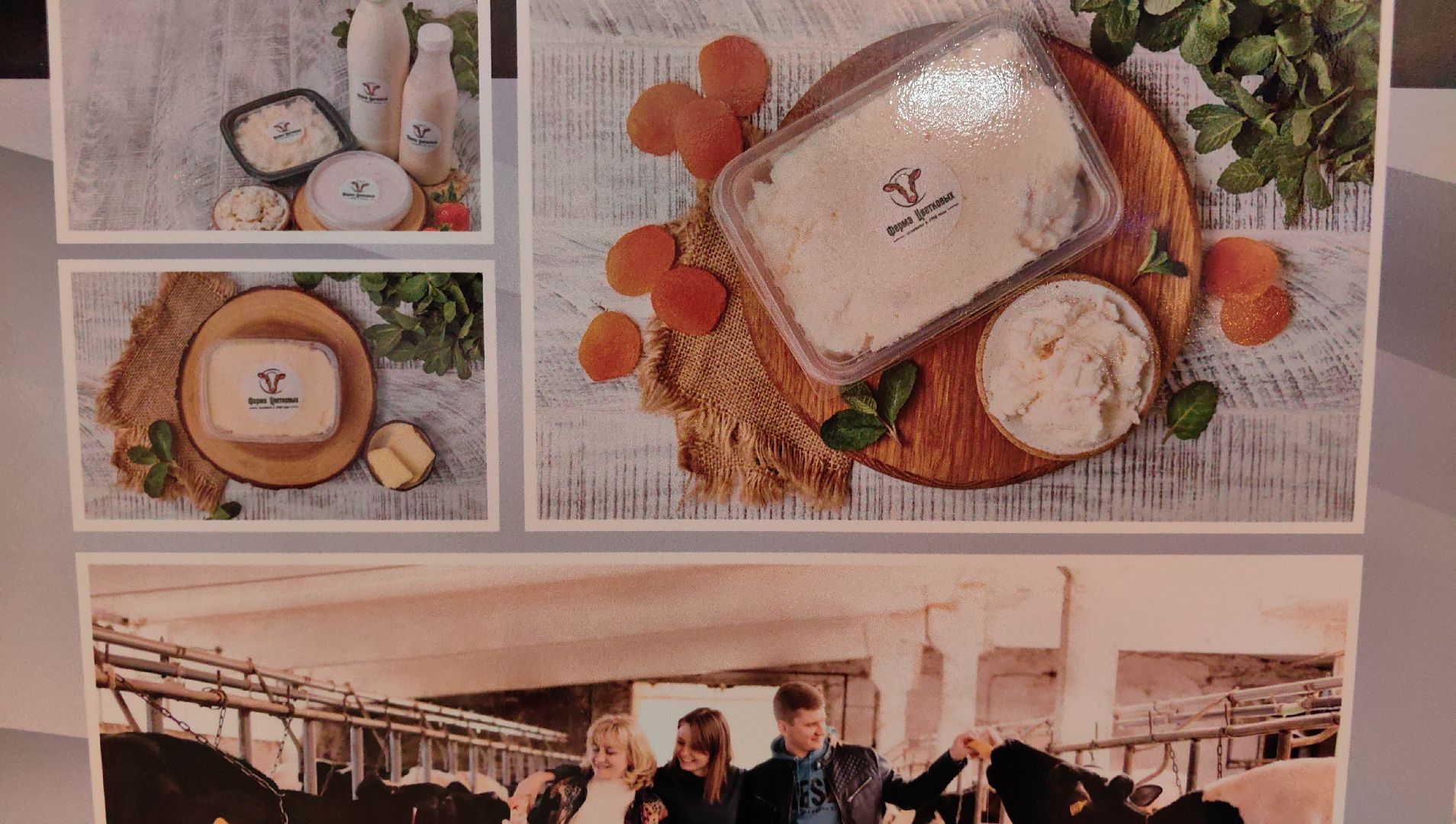 шоколад, производство, семейный бизнес, форум, вертикалки