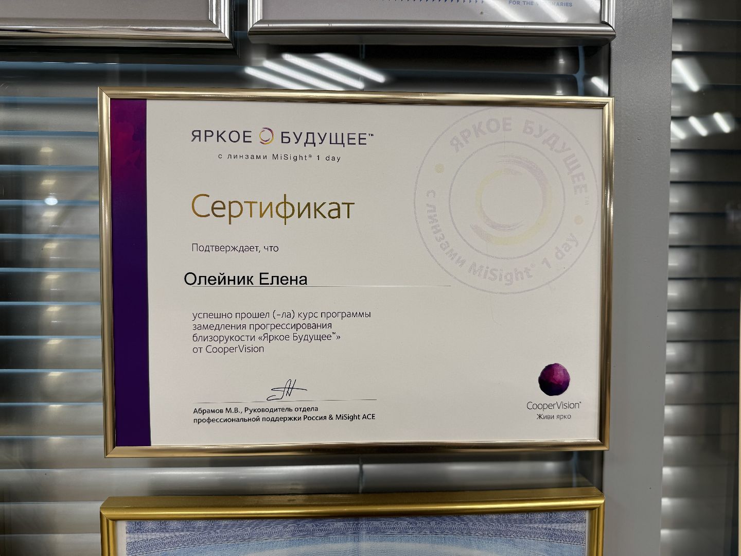 предприниматели подмосковья, салон оптики СОЛО, Государственные программы поддержки, торгово-промышленная палата,администрация ленинского округа,