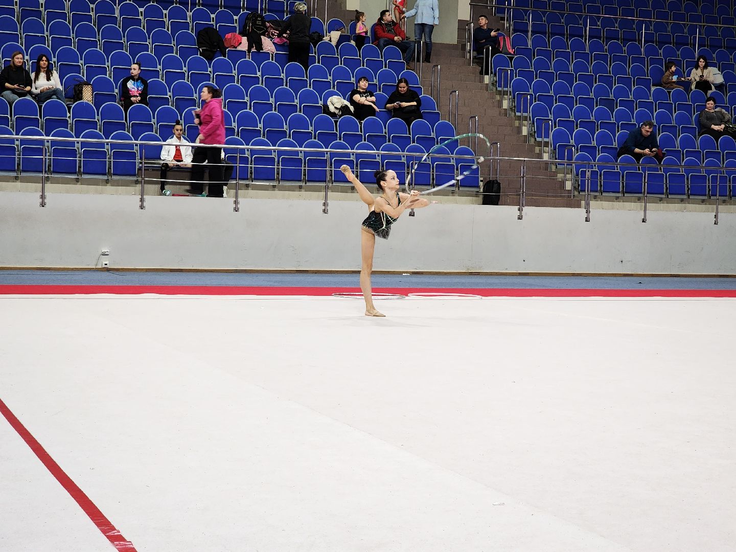 раменское, спорт, областной турнир по художественной гимнастике на призы двух Ирин, вертикалки,