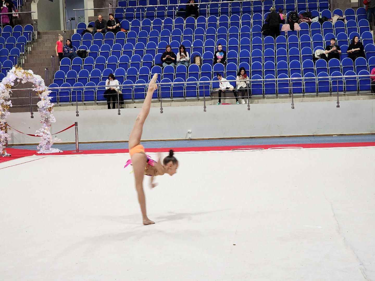 раменское, спорт, областной турнир по художественной гимнастике на призы двух Ирин, вертикалки,