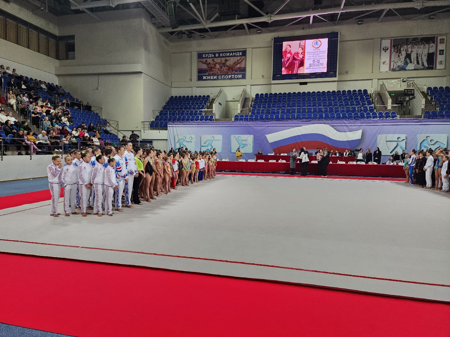 раменское, спорт, областной турнир по художественной гимнастике на призы двух Ирин, вертикалки,