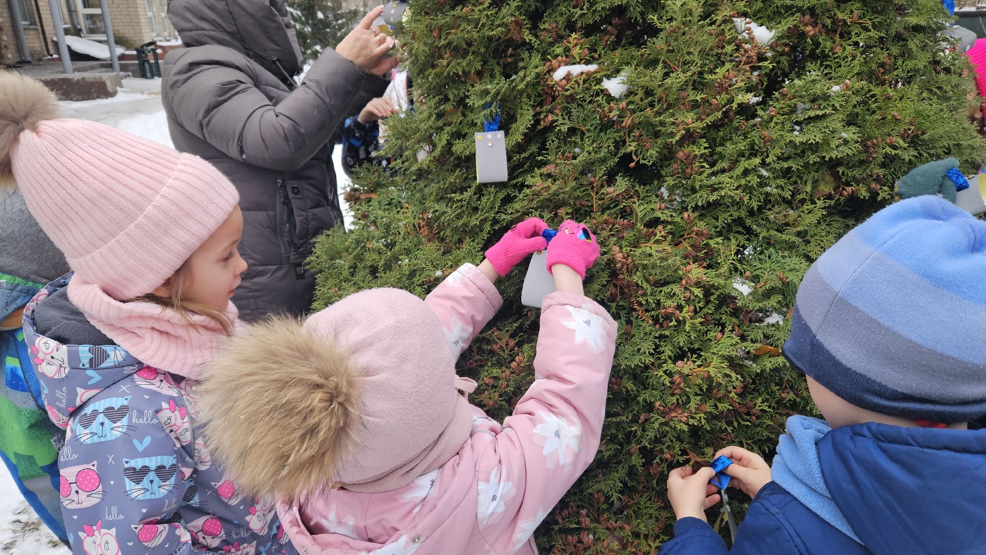 полиция, Детский сад, Жуковский,