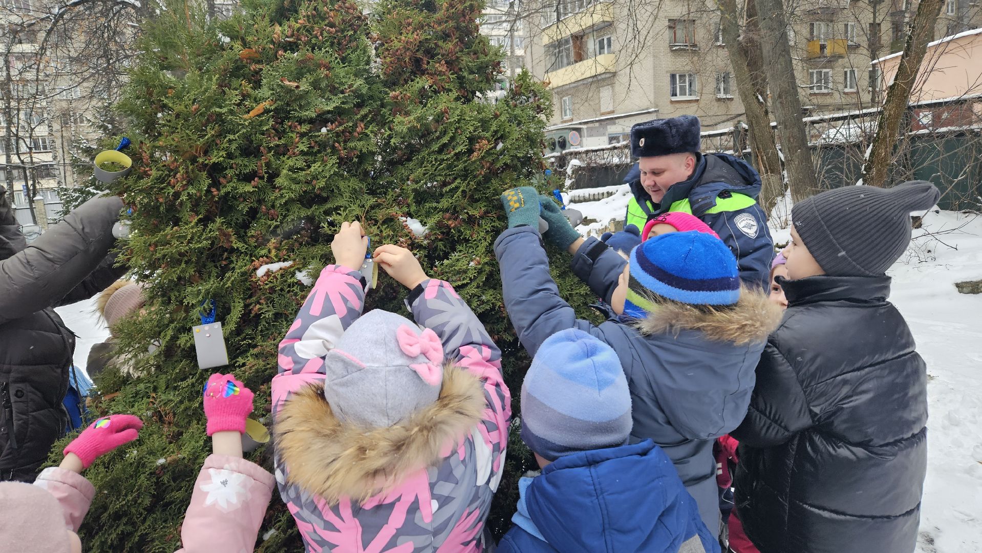 полиция, Детский сад, Жуковский,