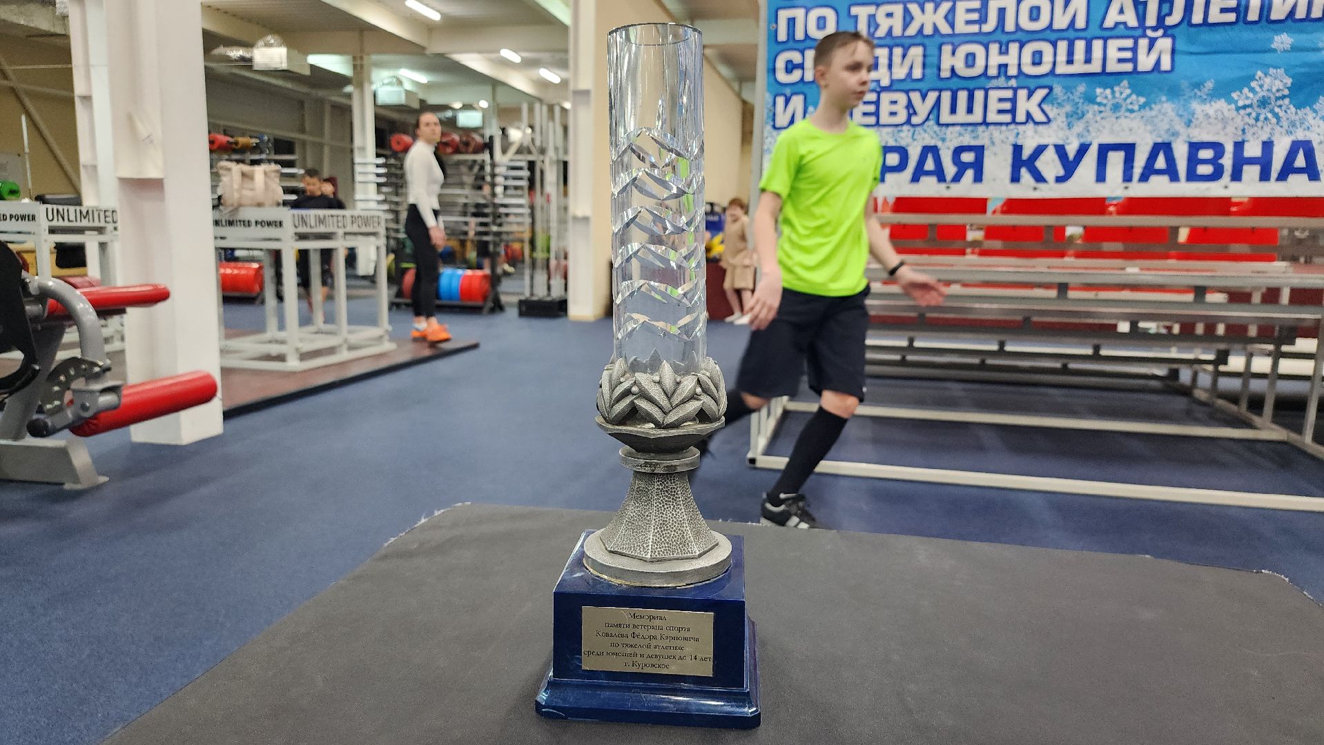 соревнования по тяжелой атлетике, тяжелая атлетика, Спортивная школа олимпийского резерва, Старая Купавна, Богородский городской округ,