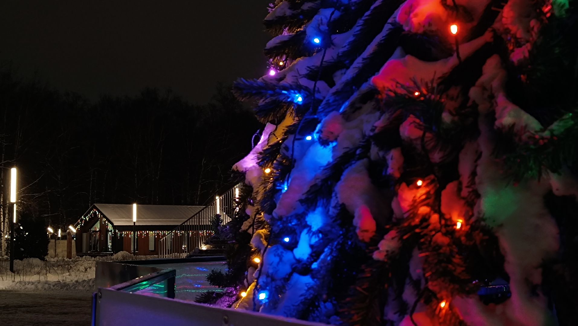 почта деда мороза, лобня, парк, новый год, вертикалки,