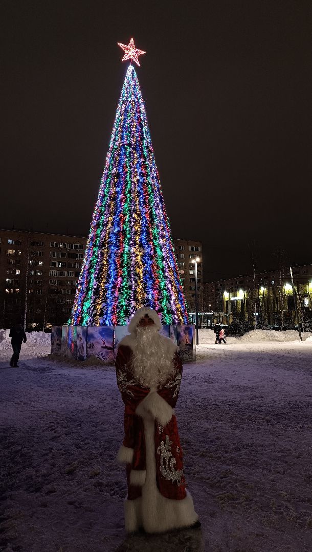 почта деда мороза, лобня, парк, новый год, вертикалки,