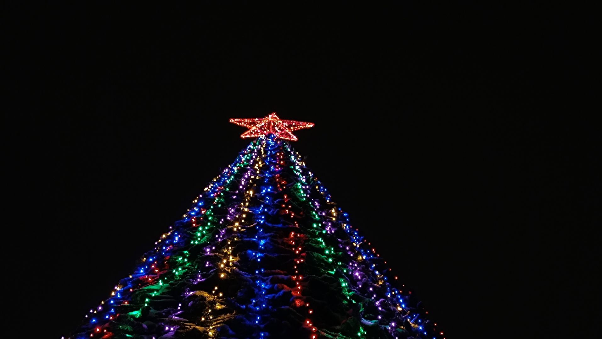 почта деда мороза, лобня, парк, новый год, вертикалки,