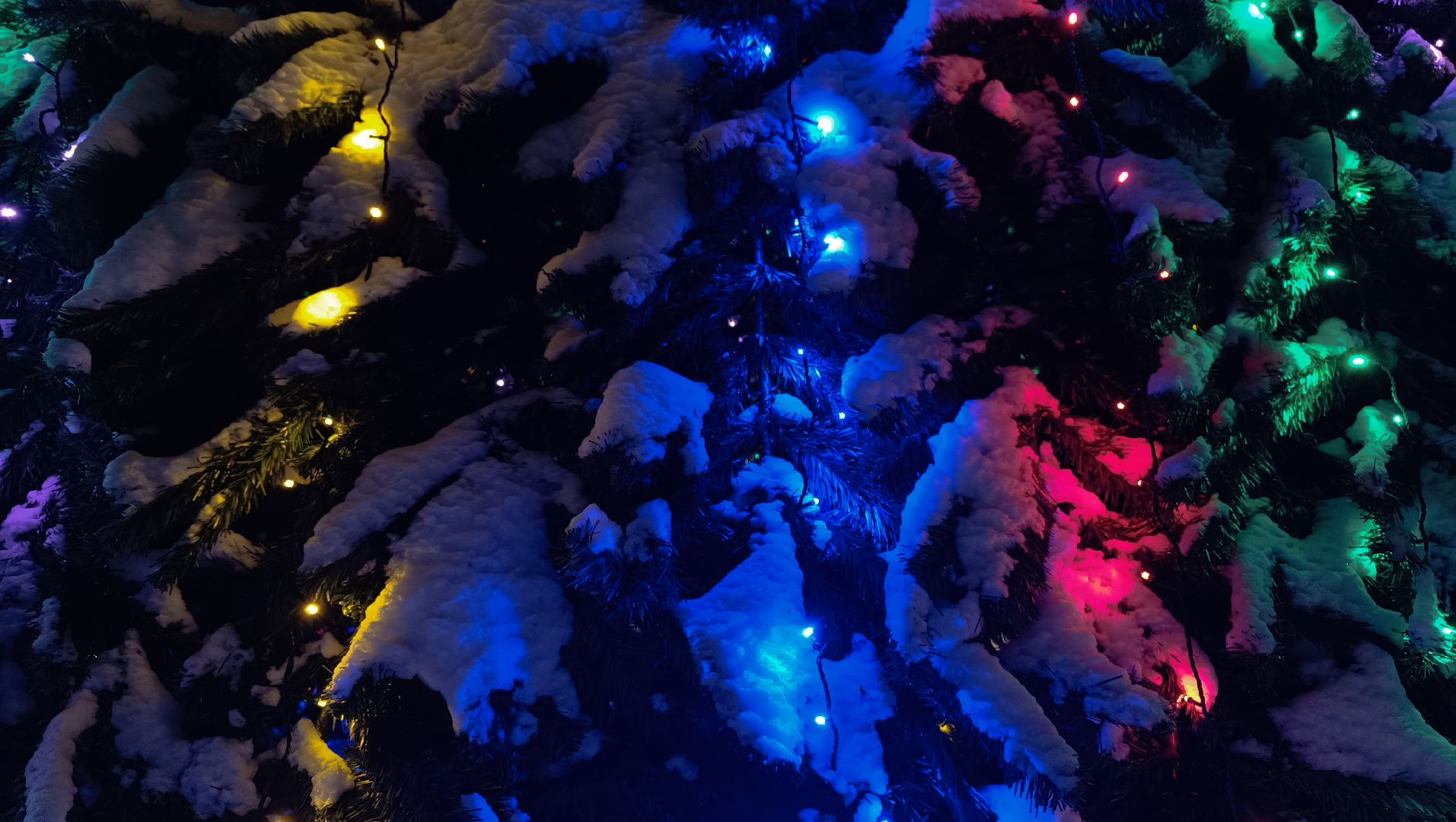 почта деда мороза, лобня, парк, новый год, вертикалки,