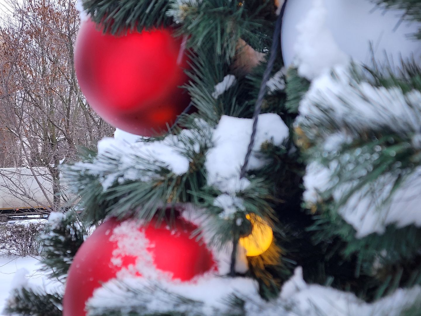 вертикалки, королёв,