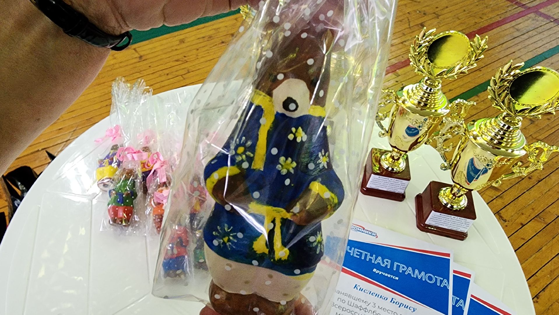 Бронницы, Воскресенск, Раменское, Общество инвалидов Бронницы, Спорт, Вертикалка, Вертикальное видео,Егорьевск,