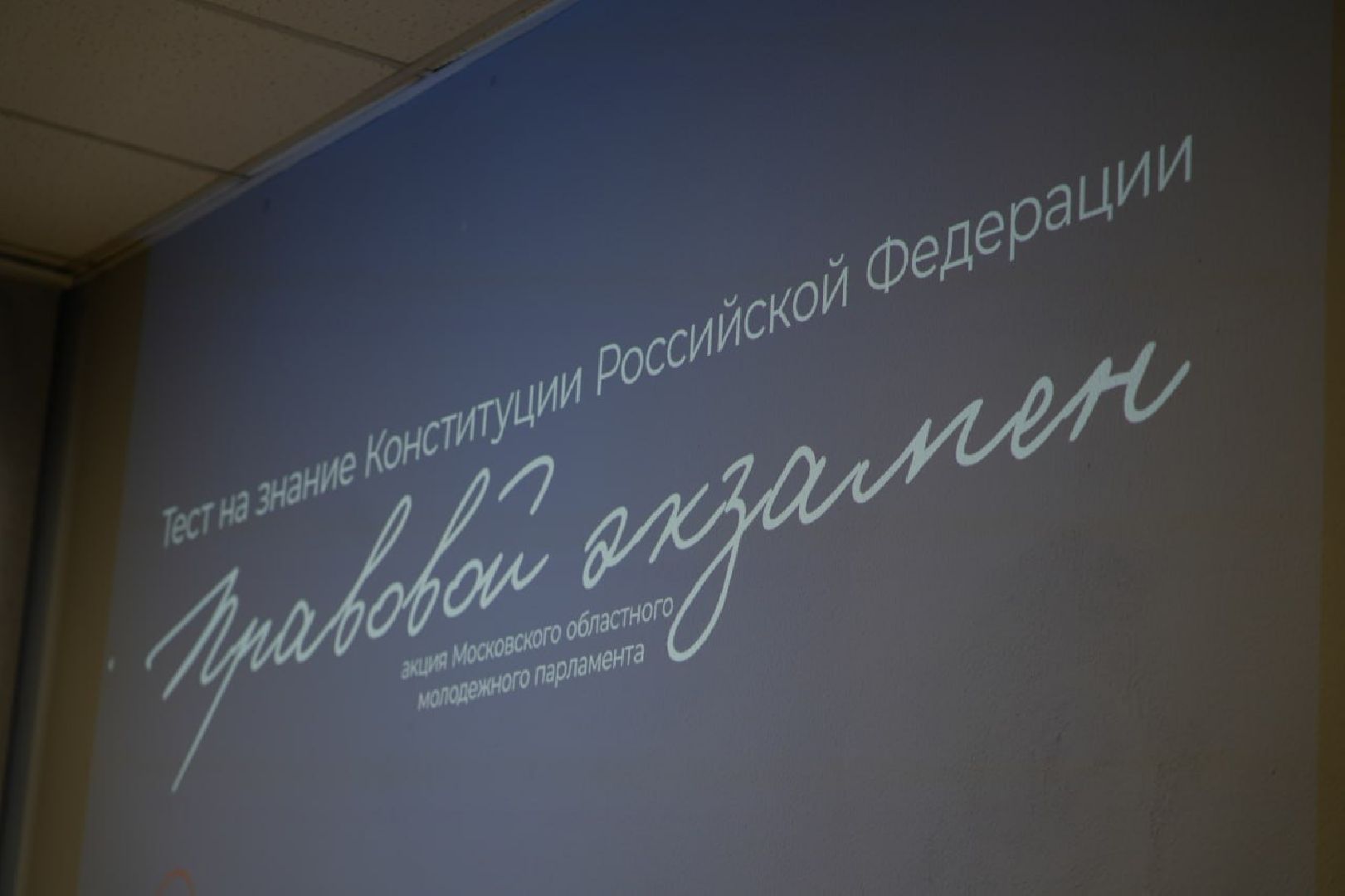 Образование, Школьники, День Конституции, Акция, Молодежный парламент, Сергиев Посад, Сергиево-Посадский городской округ, вертикалки,