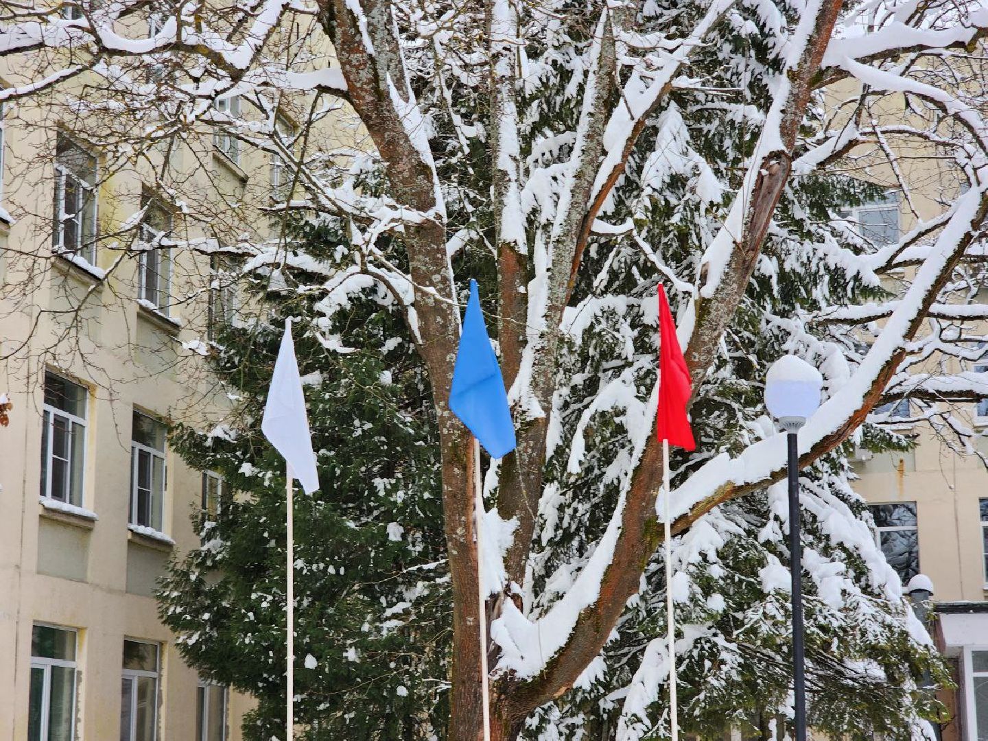 Солнечногорск, Концерт для бойцов, Госпиталь, Выступление, вертикалки,