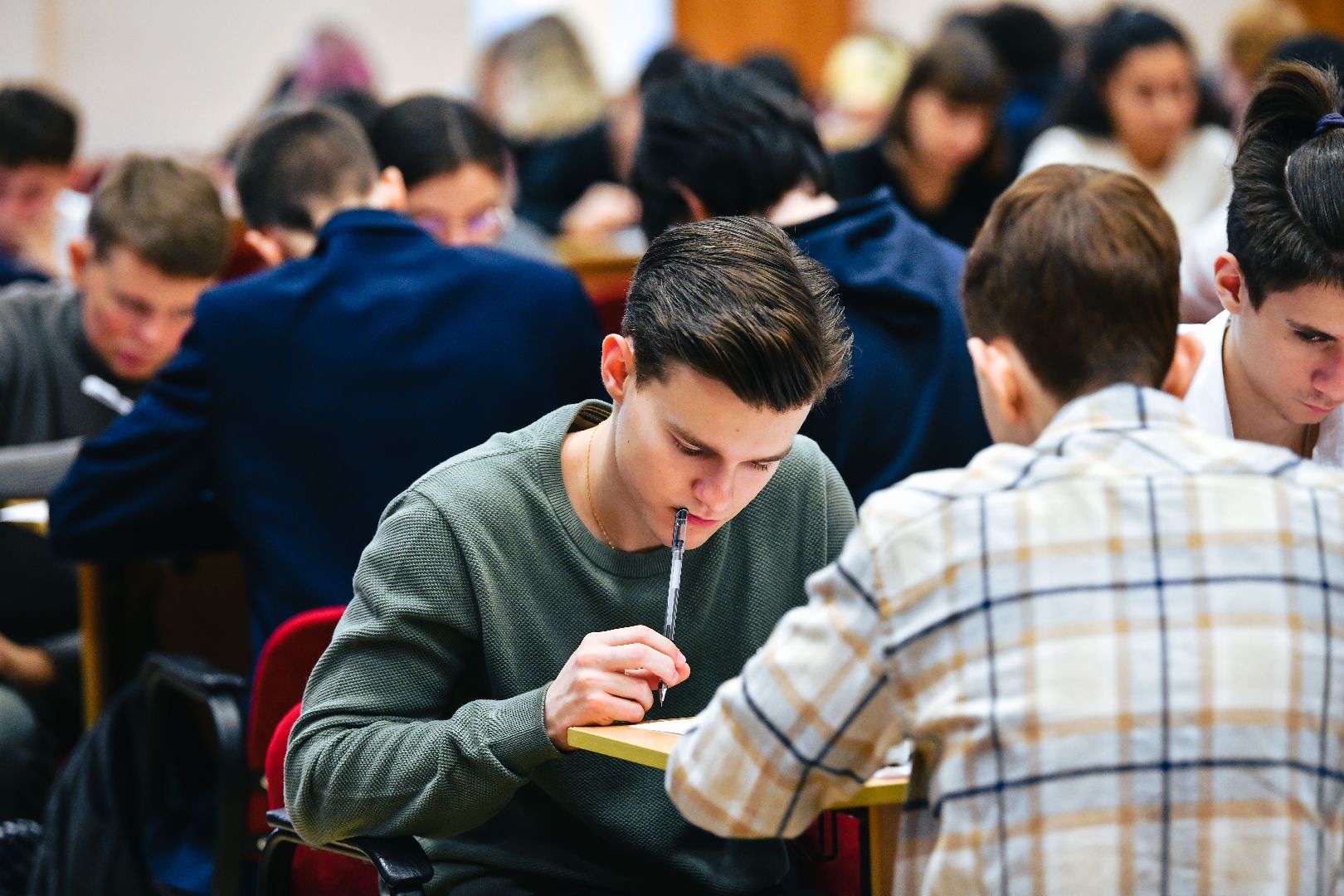 конституция, закон, школа, тест, химки,