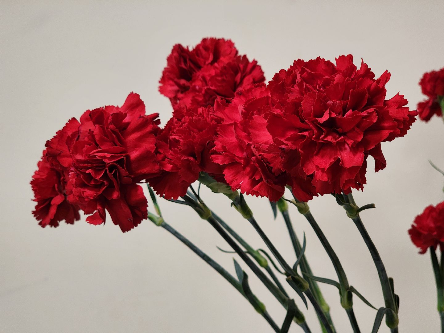 луховицы, парта героя,