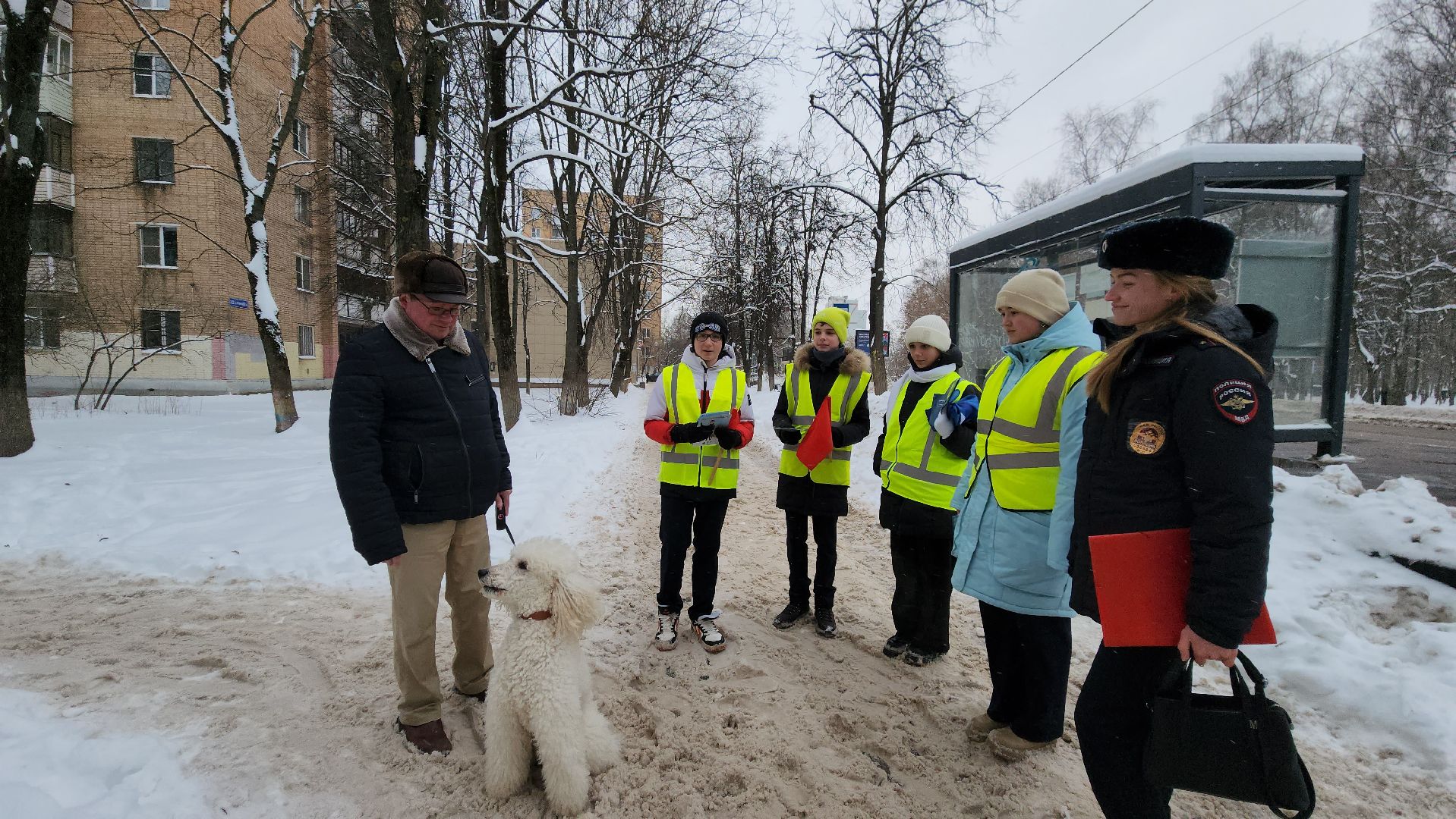 юид отряд, Лобня, Акция пешеходный переход, вертикалки,