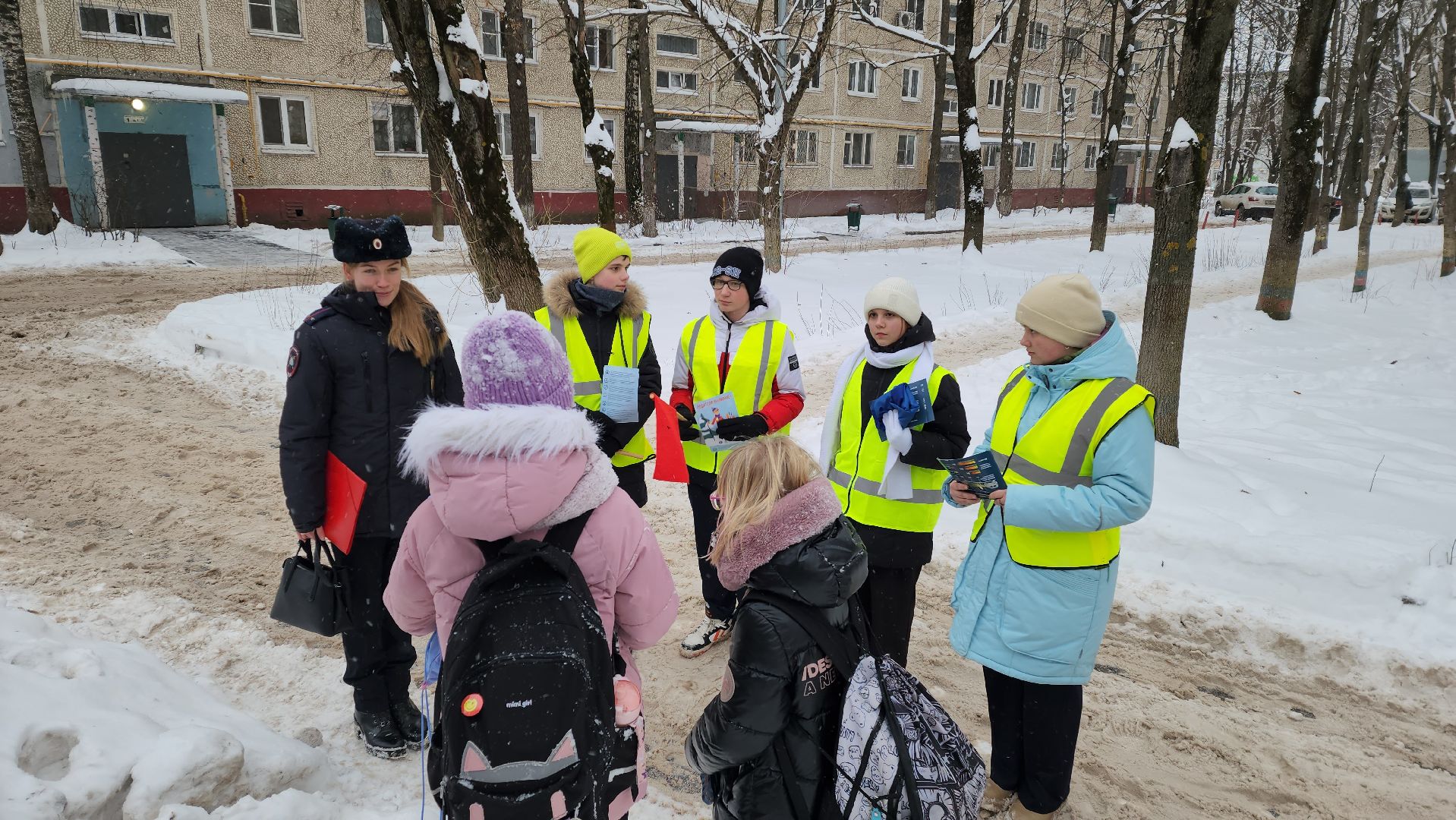 юид отряд, Лобня, Акция пешеходный переход, вертикалки,