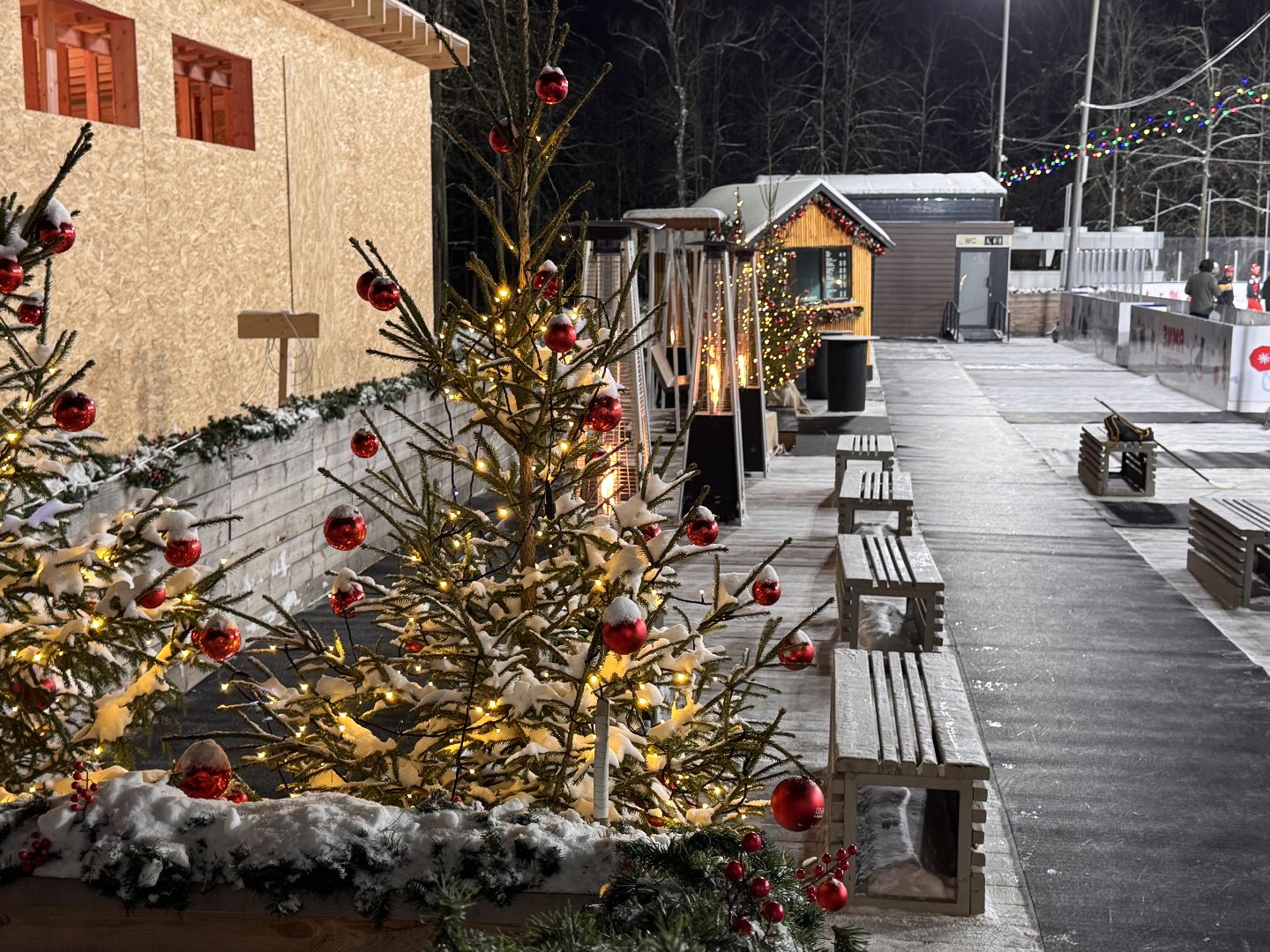 Каток в Одинцово, одинцовский парк культуры спорта и отдыха, зима в подмосковье, Вертикалка,