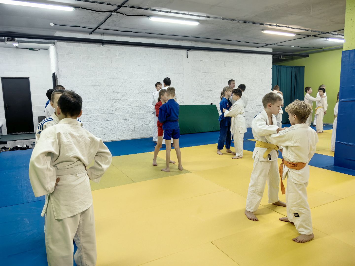 дзюдо, самбо, каратэ, клуб единоборств, победа на турнире, вертикалки