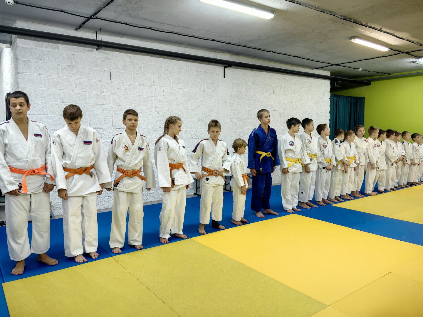 дзюдо, самбо, каратэ, клуб единоборств, победа на турнире, вертикалки