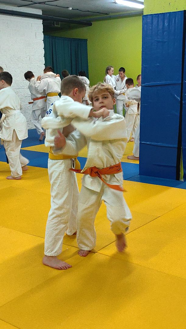 дзюдо, самбо, каратэ, клуб единоборств, победа на турнире, вертикалки