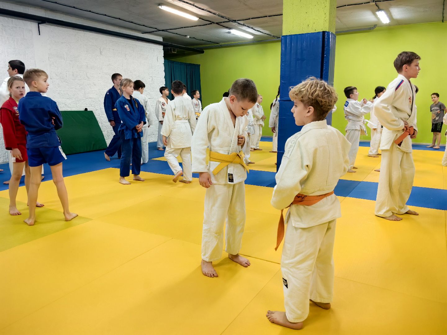 дзюдо, самбо, каратэ, клуб единоборств, победа на турнире, вертикалки