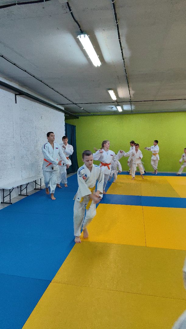 дзюдо, самбо, каратэ, клуб единоборств, победа на турнире, вертикалки