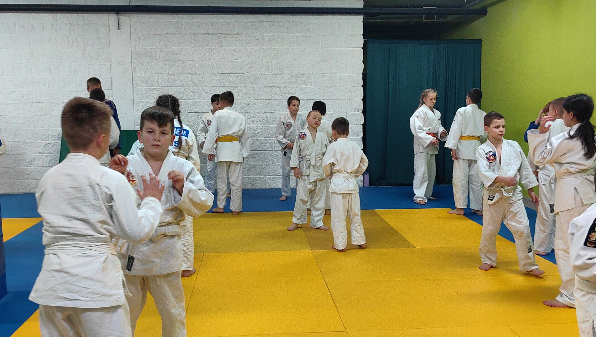 дзюдо, самбо, каратэ, клуб единоборств, победа на турнире, вертикалки