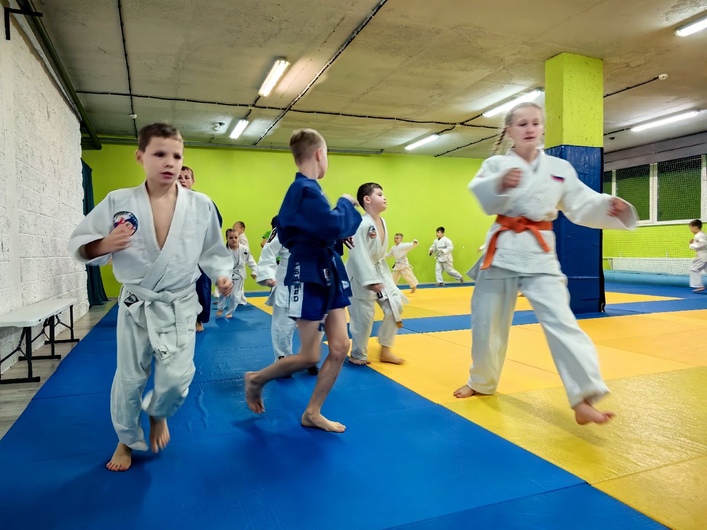 дзюдо, самбо, каратэ, клуб единоборств, победа на турнире, вертикалки