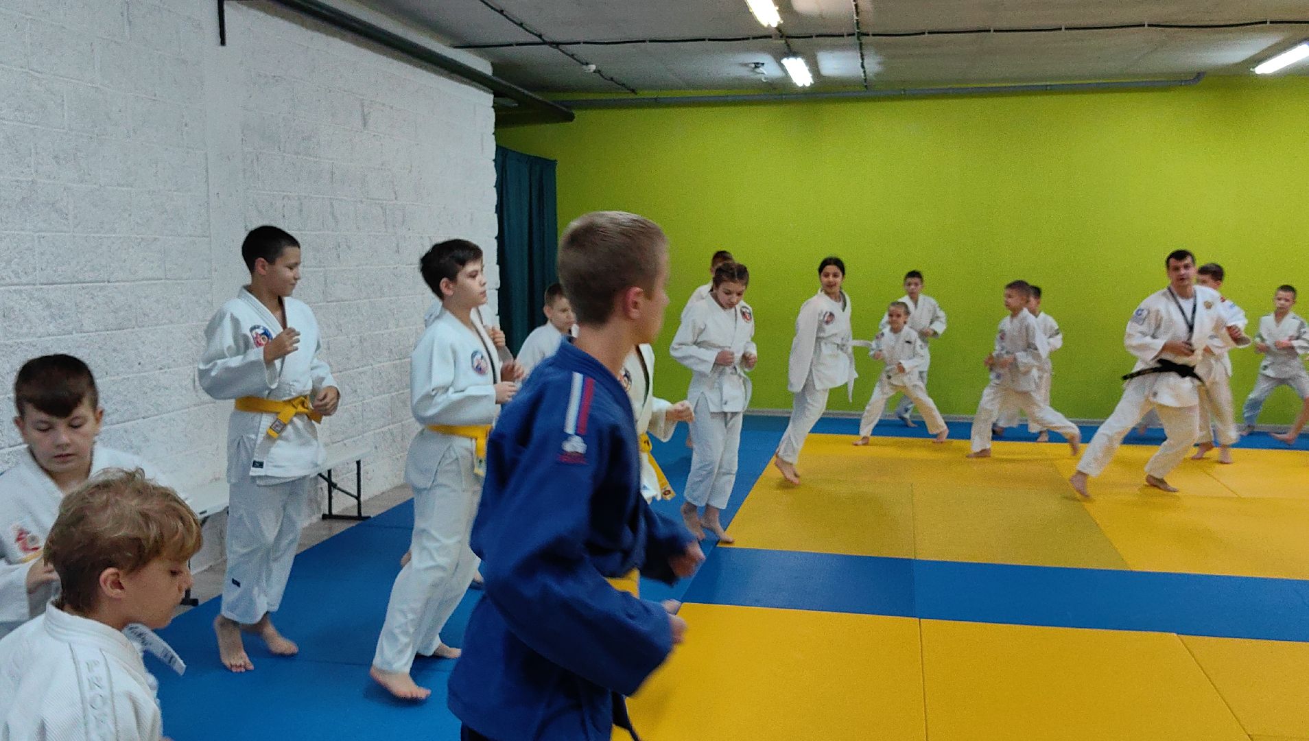 дзюдо, самбо, каратэ, клуб единоборств, победа на турнире, вертикалки