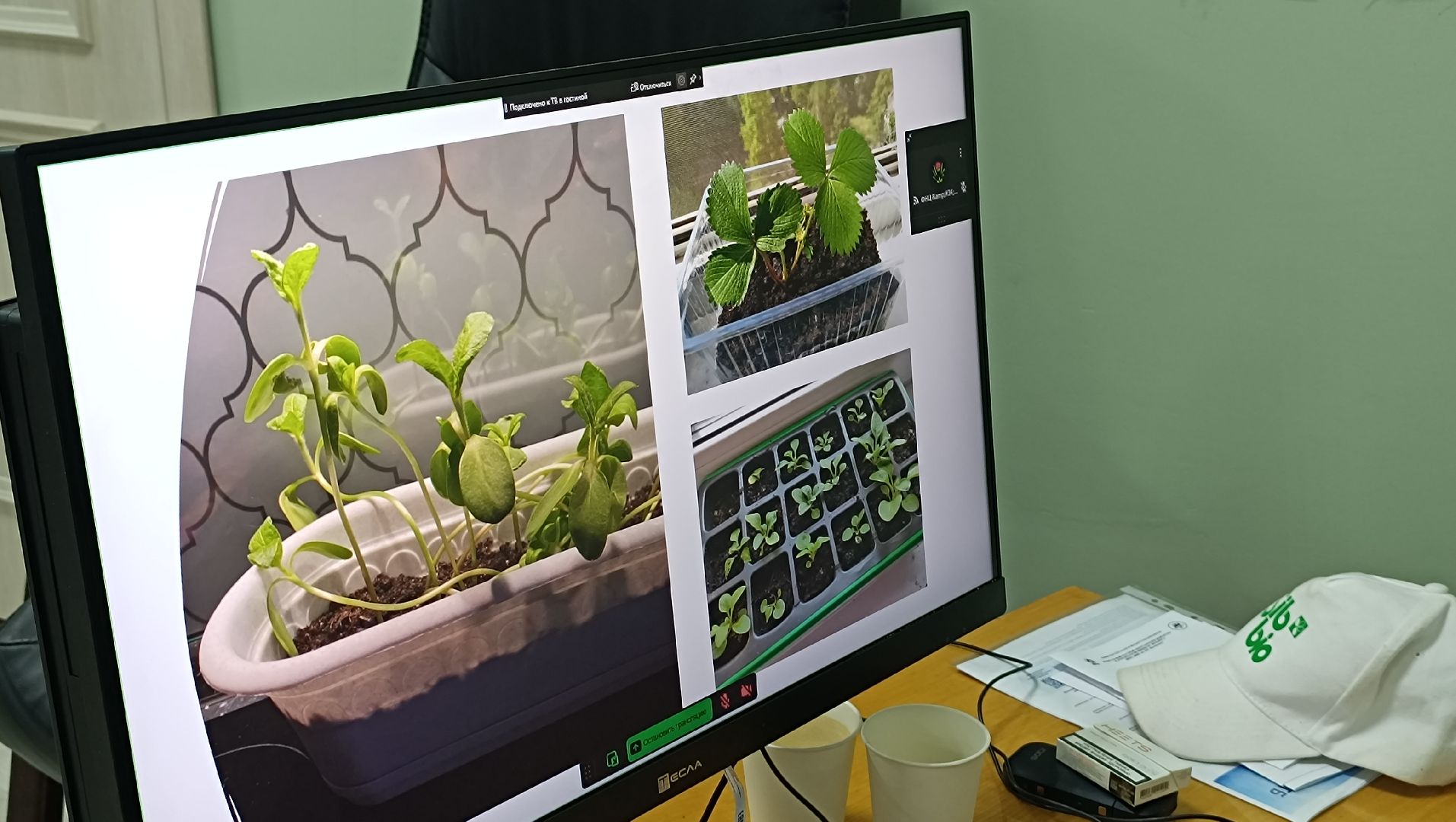 сельское хозяйство, лобня, подмосковье,