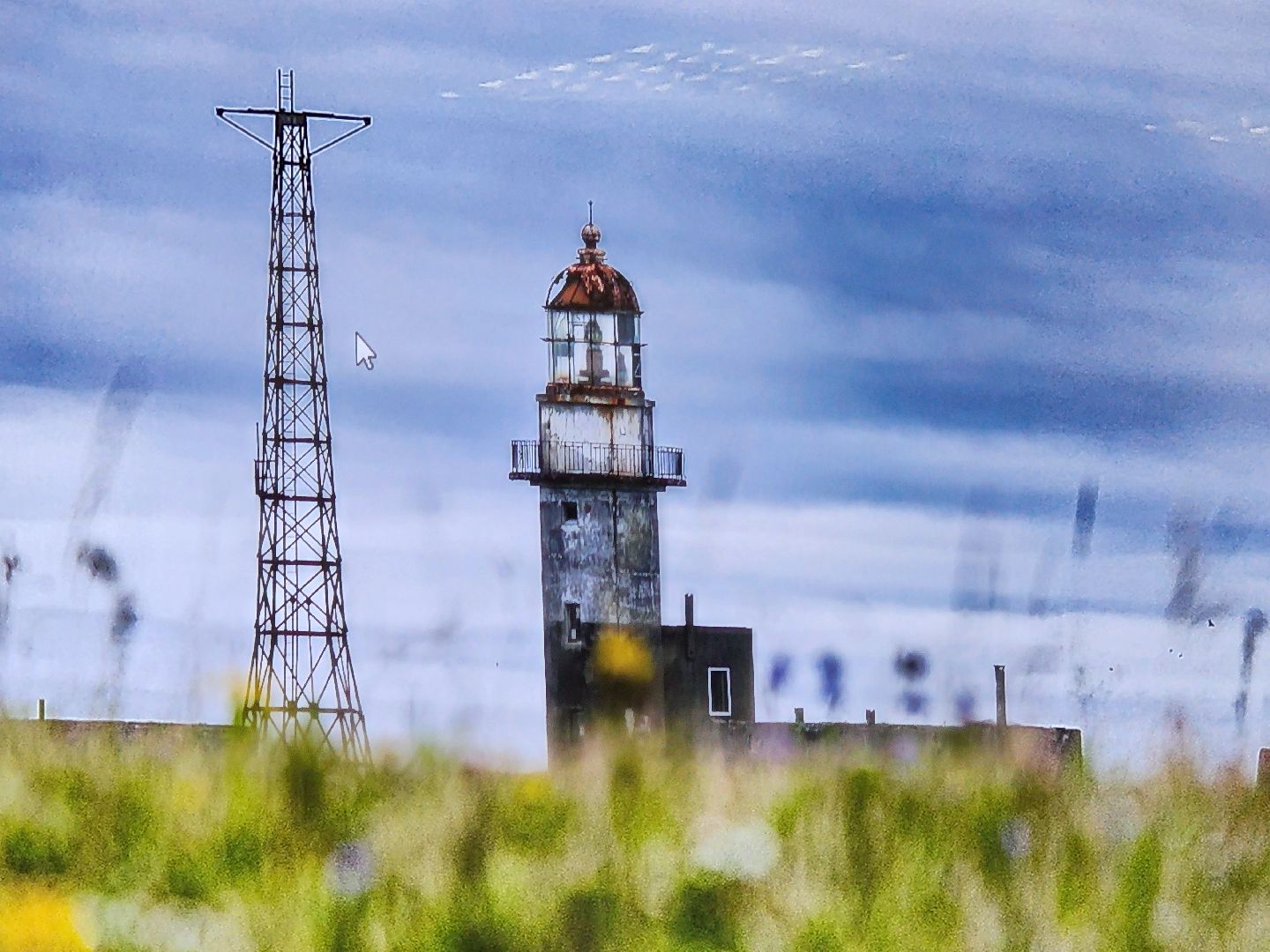 подольск, фотовыставка, фотограф, природа,