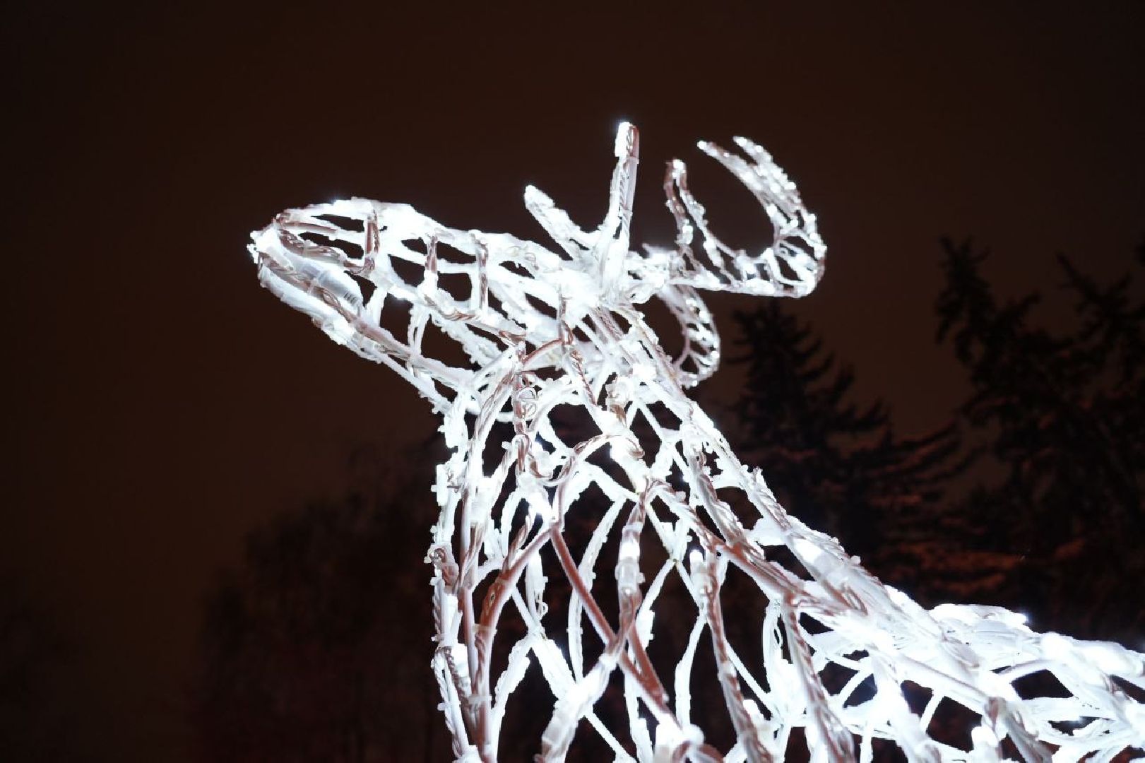 Благоустройство, Новый год, Сергиев Посад, Сергиево-Посадский городской округ, Зима в Подмосковье, Украшение, Рождество, Новогоднее настроение,