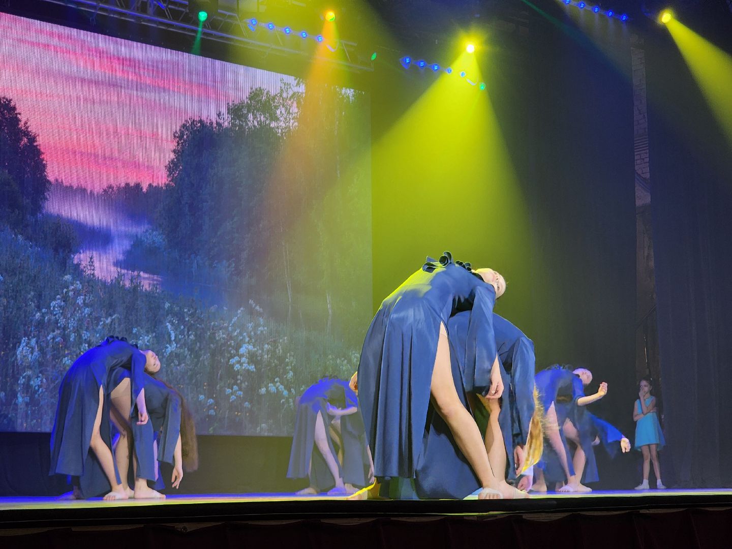 концерт, юбилей, ансамбль, школа искусств, дворец культуры,