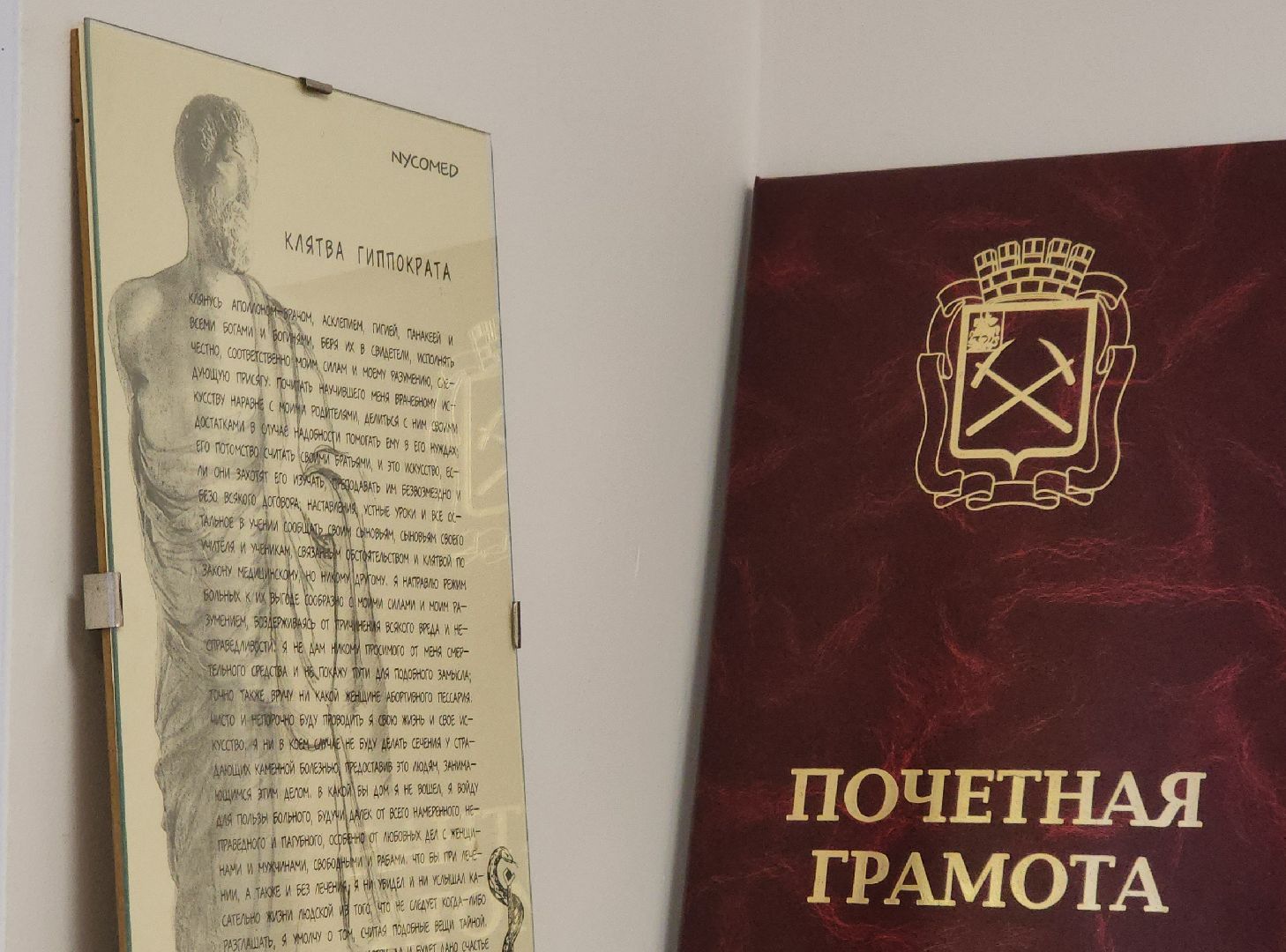 подольск, медицина, подмосковный врач, медаль луки крымского,