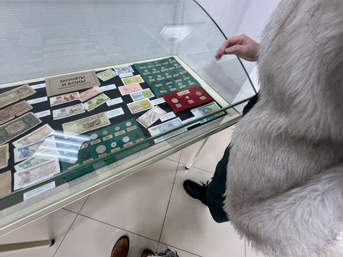 шаховская, новая выставка, музей, нумизматика,