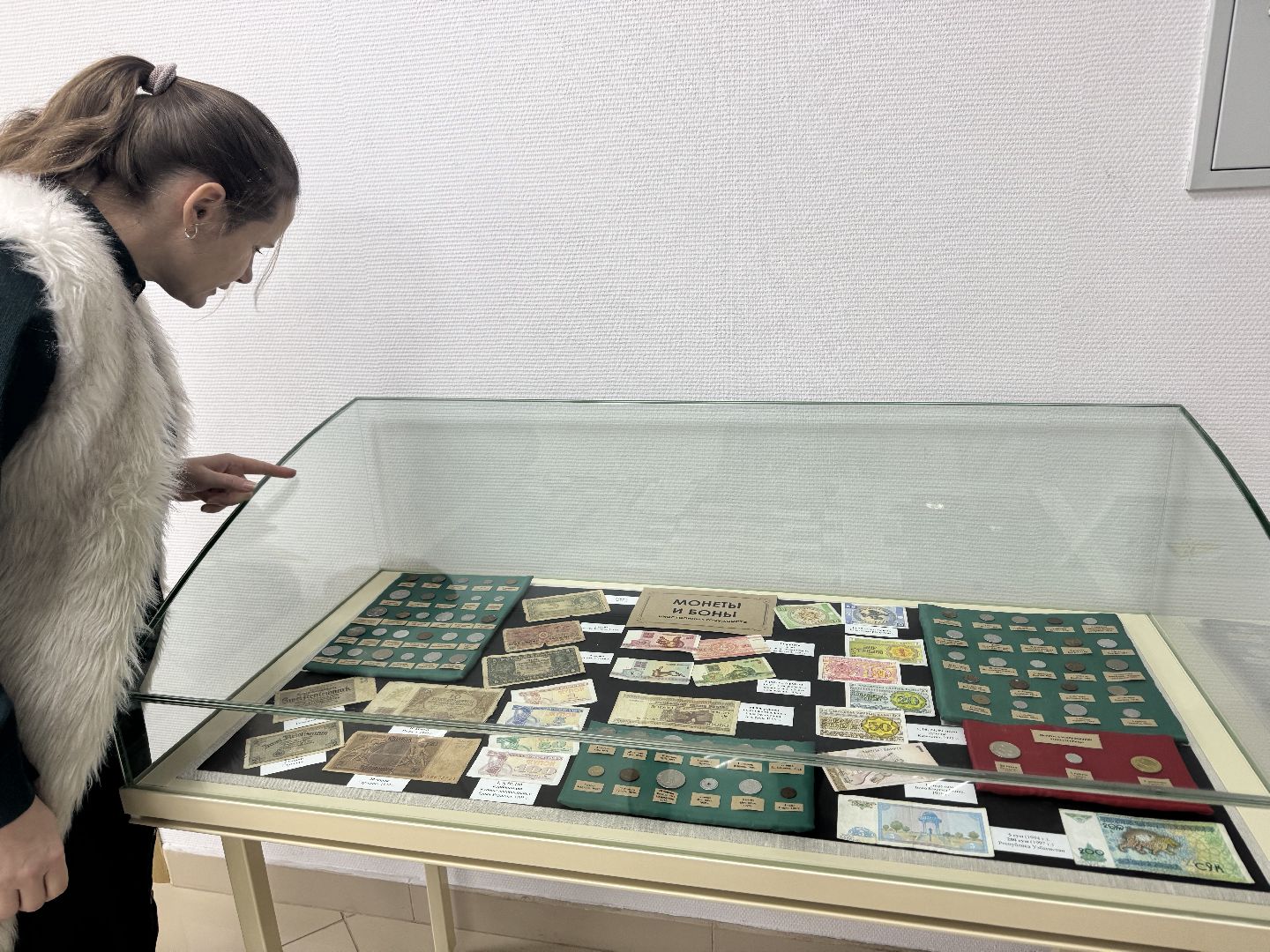 шаховская, новая выставка, музей, нумизматика,